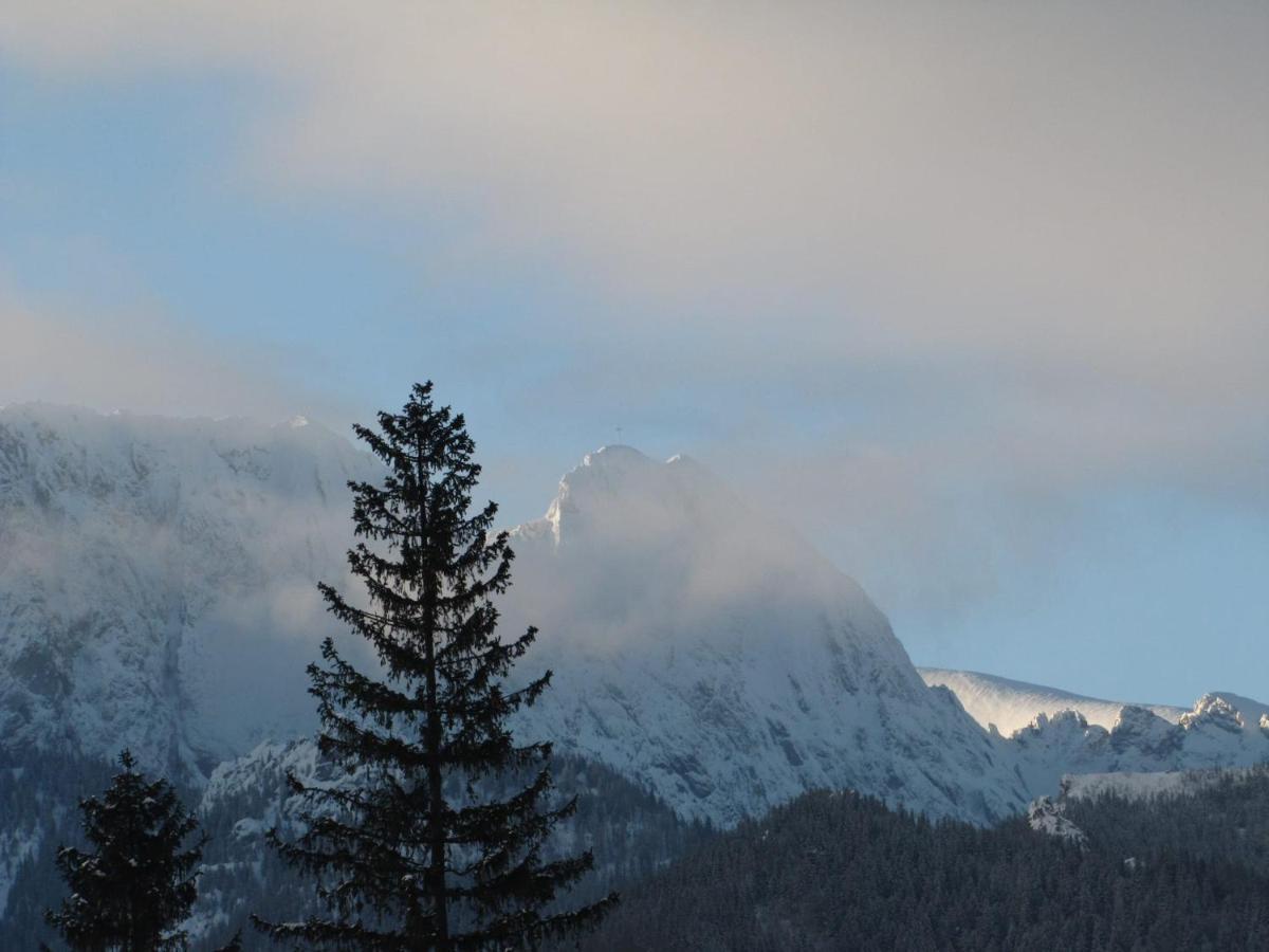 Domek Na Zaciszu Zakopane Exterior foto